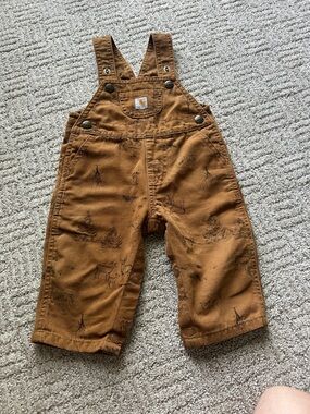 Carhartt baby Tan-Brown Canvas Overalls with Nature Sketch 9M